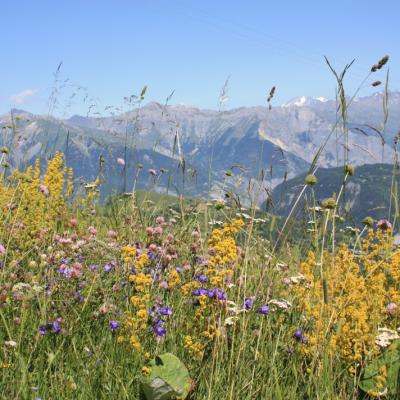 Autour du Corbier - 7 - Montagnes