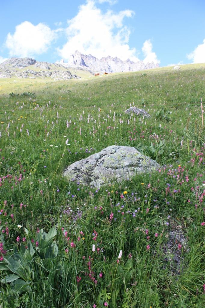 Parc de la Vanoise - 6